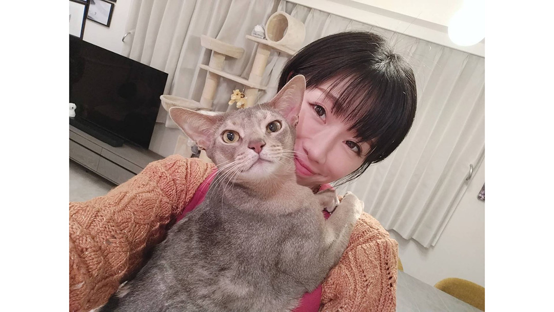 アイキャッチ画像_嶋村吉洋社長が主催するワクセルのコラム_みづきあかりさん_プロフィール