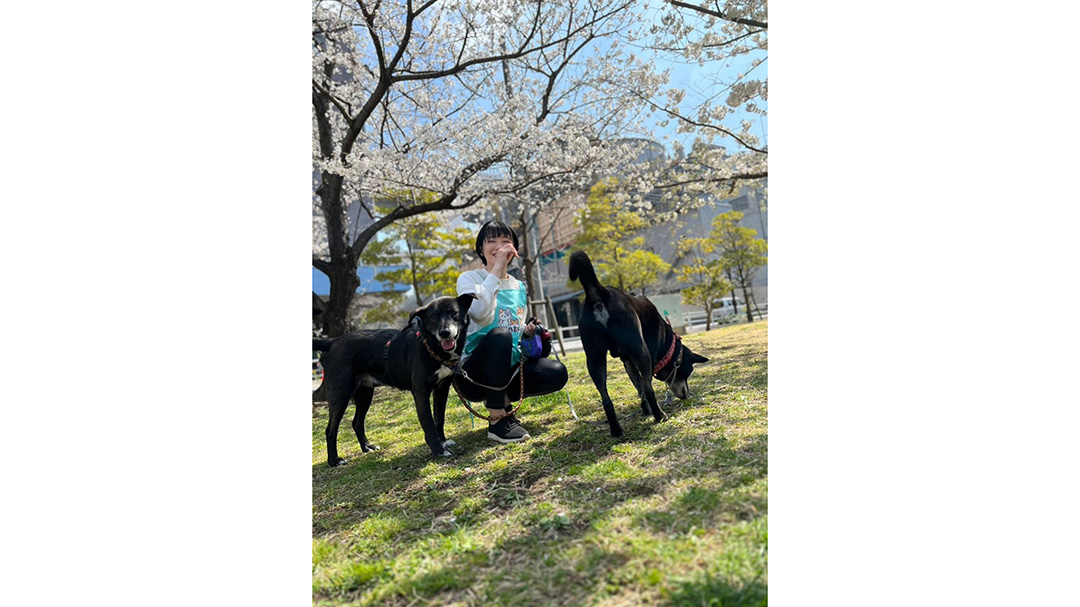見出し3画像_嶋村吉洋社長が主催するワクセルのコラム_みづきあかりさん_ペットシッターと犬