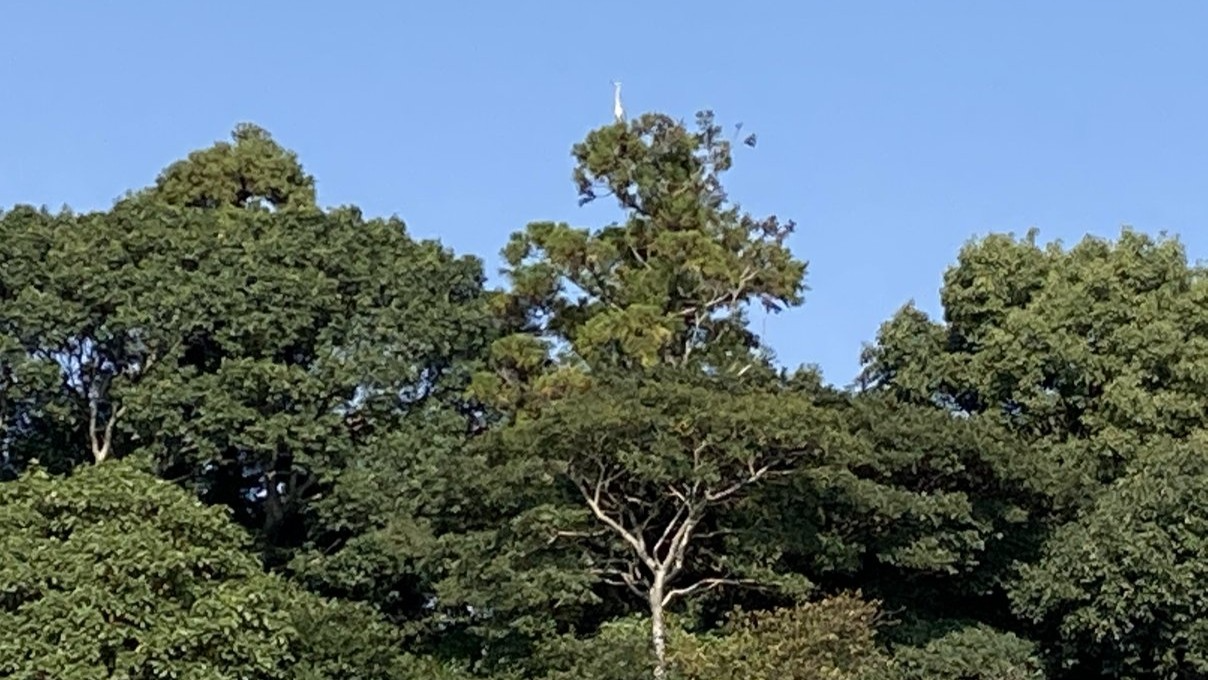見出し2画像_嶋村吉洋社長が主催するワクセルのコラム_ 飯髙裕子さん.jpg